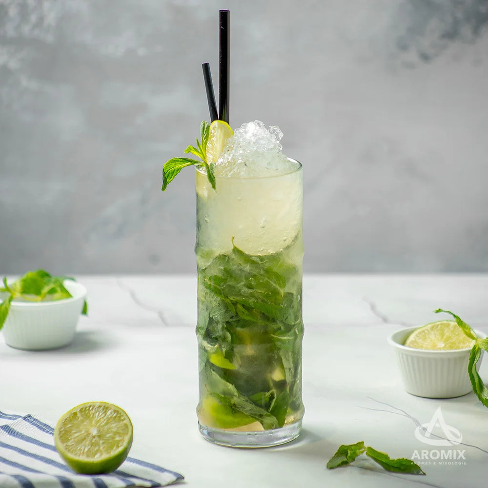 Cool Mint Mojito Mocktail